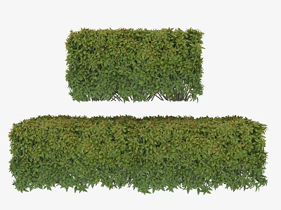 Well Trimmed Green Bushes With Neat Rectangular Shape For Garden Landscaping 3d model