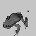Realistic Brown Toad With Small Colorful Flying Device On Gray Background