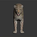 Realistic 3D Leopard Model With Spotted Fur Open Mouth On White Background