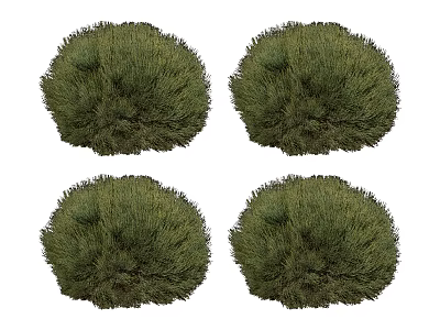 Four Green Round Spherical Bushes Ornamental for Garden Landscaping Design 3d model