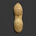 Whole Natural Peanut Pod with Rough Surface Texture Isolated on Dark Background and Clear Reflection