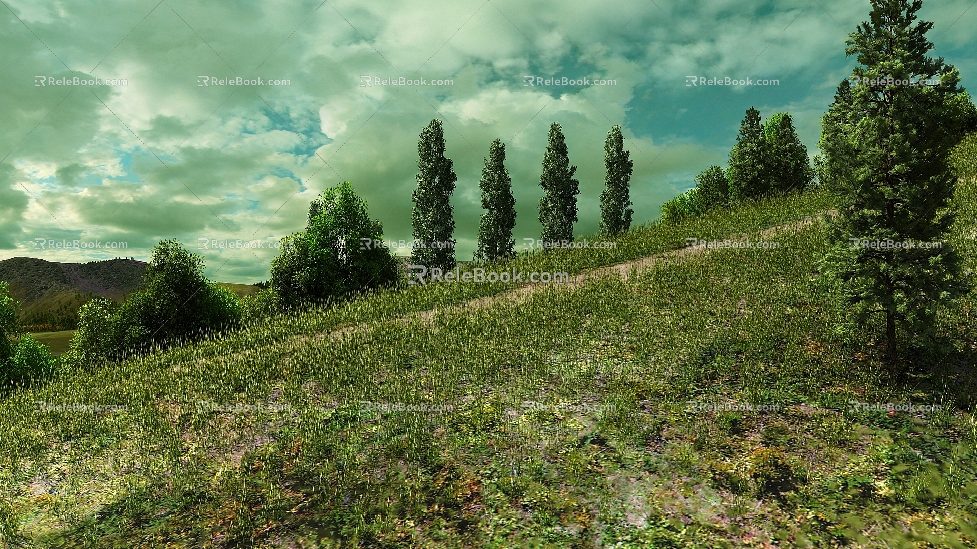 Great Lawn Grassland Scenic Area Grassland on the Road Ecological Scenic Area Wetland Park Nature Pine Forest Forest Primitive Forest Tree 3d model