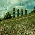 Great Lawn Grassland Scenic Area Grassland on the Road Ecological Scenic Area Wetland Park Nature Pine Forest Forest Primitive Forest Tree 3d model