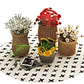 Decorative Woven Vases With Red Blooms White Daisies Yellow Sunflowers On Black White Tablecloth