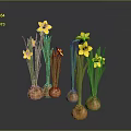 Fresh Onion Bulbs With Green Leaves And Yellow Flowers On Grey Background