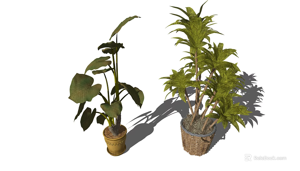 Two Bonsai Potted Plants with Large and Lush Leaves in Clay Pot and Wicker Basket 3d model 