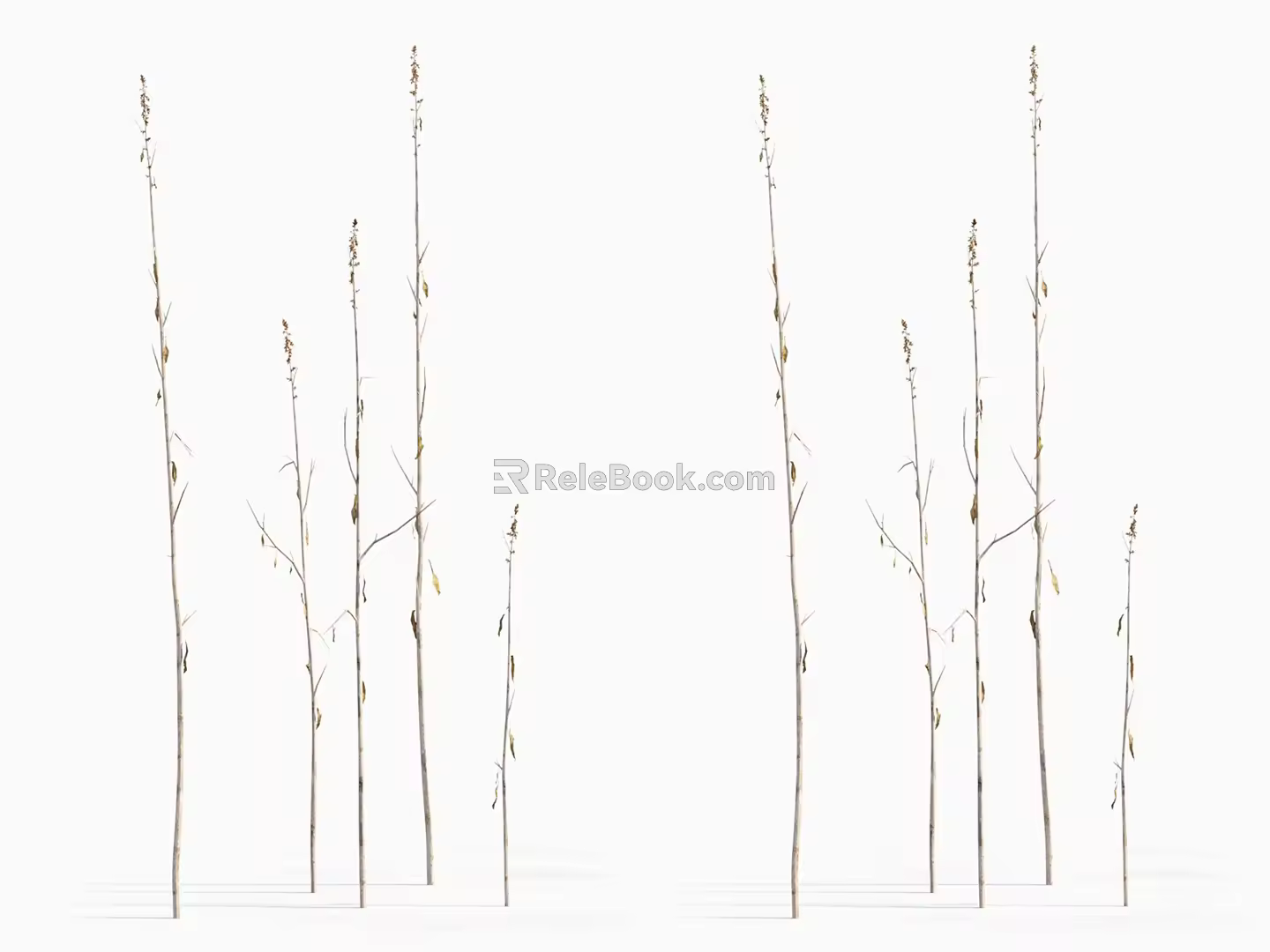 modern grass withered grass 3d model