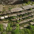 Natural Stone and Wood Steps with Moss and Grass in Rustic Outdoor Design