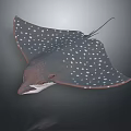 Spotted Stingray With Brown Body And White Dots Swimming Underwater