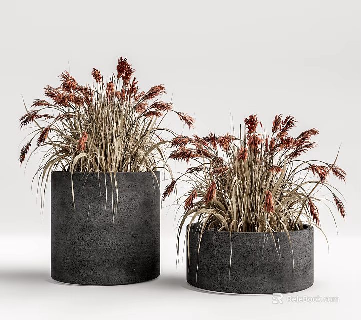 Bonsai Potted Plants With Red Yellow Spikes In Dark Gray Cylindrical Pots 3d model 