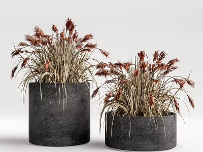 Bonsai Potted Plants With Red Yellow Spikes In Dark Gray Cylindrical Pots 3d model