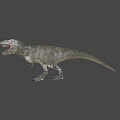 Realistic T Rex Dinosaur Model With Open Mouth And Sharp Teeth 3d model
