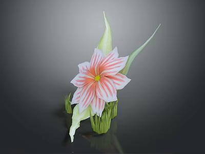Pink and White Striped Flower Plant with Green Leaves and Stem on Dark Background 3d model