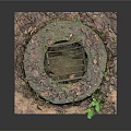 Round Grate Drainage Scene Structure With Moss Fallen Leaves Small Plants On Square Base 3d model
