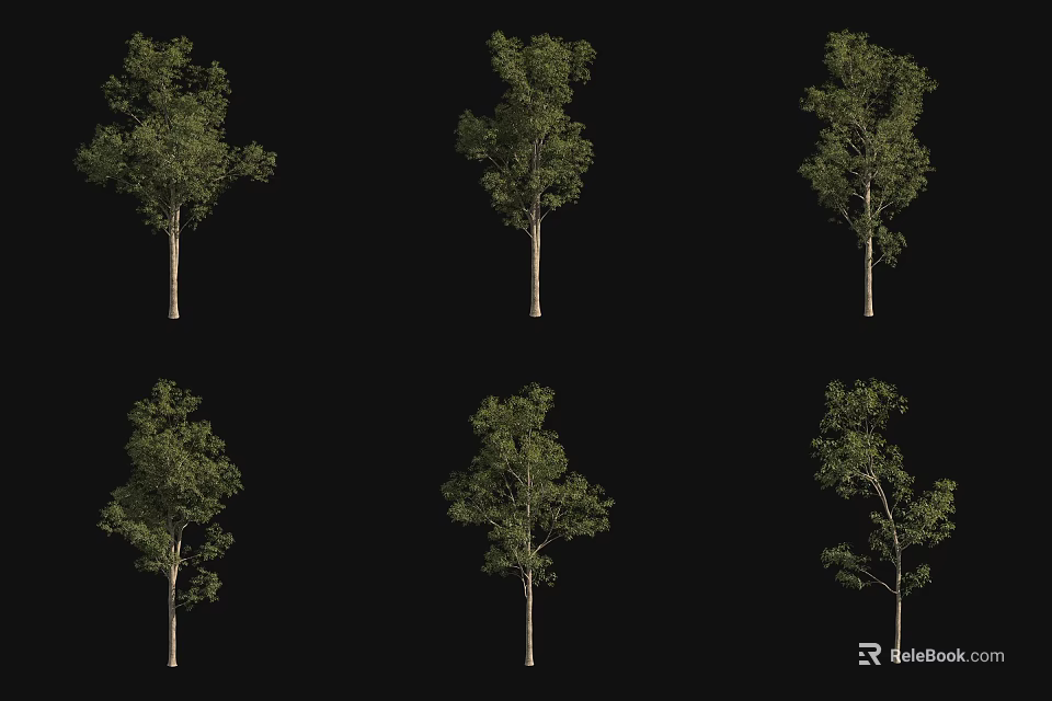 Different Arbor Tree Varieties With Various Green Foliage And Natural Shapes 3d model