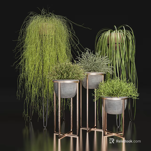 Bonsai Potted Plants With Hanging Foliage And Various Green Varieties On Copper Metal Stands 3d model 