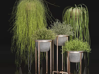 Bonsai Potted Plants With Hanging Foliage And Various Green Varieties On Copper Metal Stands 3d model