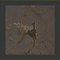 Lush Green Grass Plants Growing Through Dry Cracked Concrete Surface