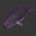 Blue Gray Whale Sculpture With Smooth Surface On Dark Reflective Background 3d model