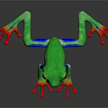 Vibrant Colorful Frog With Green Body Red Eyes Blue Legs And Red Toes