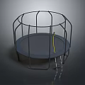 Outdoor Round Trampoline with Metal Frame Safety Net Enclosure and Ladder for Sports