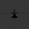 Flying Animal Crow with Spread Wings in Mid Flight Against Gray Background