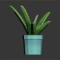 Green Aloe Plant with Green Leaves and White Spots in Blue Pot on Dark Background