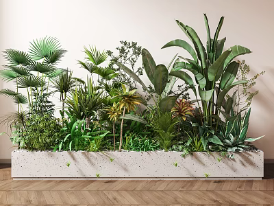 Lush Indoor Landscape With Concrete Planter And Various Green Foliage Plants 3d model