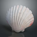Artistic Carved Shell Sculpture With White Pink Edges And Detailed Radial Textures