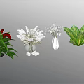 Various Decorative Flowers in Clear Vases with Red White Blooms and Green Foliage