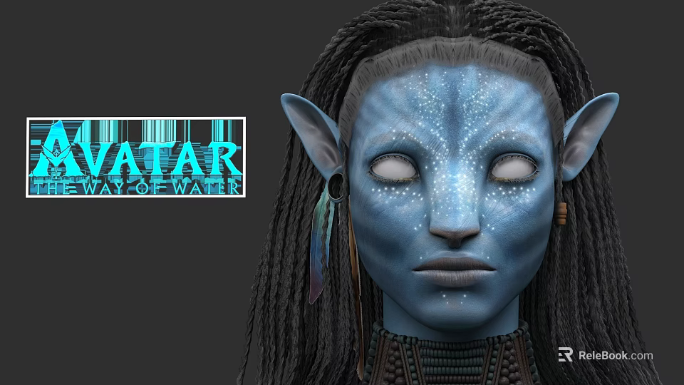 Avatar Way of Water Character With Blue Skin Long Ears White Face Spots Braided Hair 3d model 