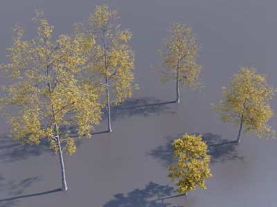 Trees With Yellow Leaves And White Trunks On Gray Ground Different Sizes And Shadows 3d model