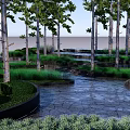 Tranquil Garden Landscape With Tall Trees Green Grass Stone Path And Water Feature
