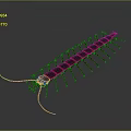 Red Centipede 3D Model With Segmented Body And Long Legs On Gray Background 3d model