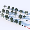 Arbor Trees Collection Featuring Pine And Elaeocarpus Tree Varieties In 3d model