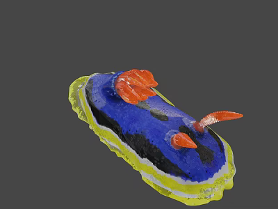 Vibrant Colorful Sea Slug With Blue Body Yellow Edge And Red Tentacles 3d model