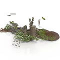 Modern Decorative Landscape With Green Plants Stone Accents And White Flowers
