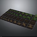 Grid Planting Area With Plants In Different Growth Stages And Brown Soil