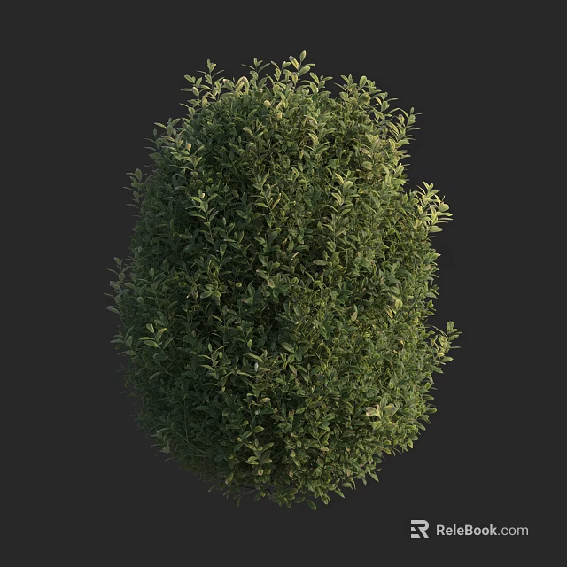 Vibrant Green Arbor With Dense Foliage And Rounded Canopy Shape 3d model