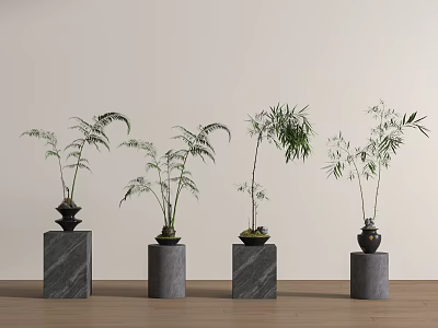 Bonsai Potted Plants Display On Stone Pedestals Against Light Colored Wall And Wooden Floor 3d model