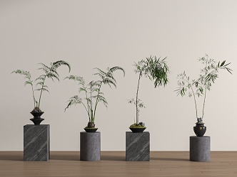 New Chinese Potted Plant Floor 3d model