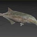 Aquatic Animal With Long Snout Streamlined Body And Fins In Natural Aquatic Habitat