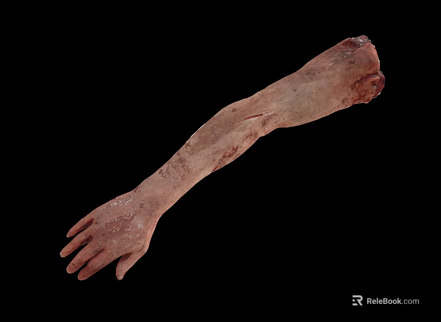 Detailed Human Arm Organ Model With Skin And Hair Features 3d model