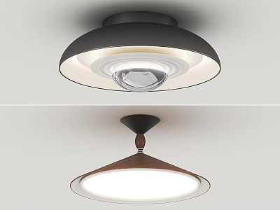 Modern Dome Ceiling Light With Black Frame And Wooden Accent Soft White Illumination 3d model