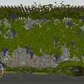 Stone Scenic Wall Decorated With Green Vines Purple Grapes And Wooden Pergola