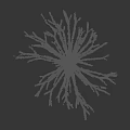 Elegant Arbor Tree Branch Structure with Intricate Line Design and Natural Silhouette