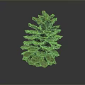 Close Up View Of Natural Pine Cone With Detailed Texture On Dark Background