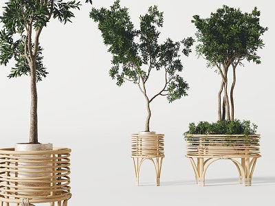 modern potted plant model