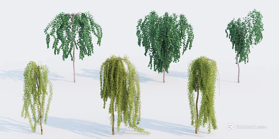 Weeping Willow Trees With Drooping Branches And Green Foliage In Various Forms 3d model 