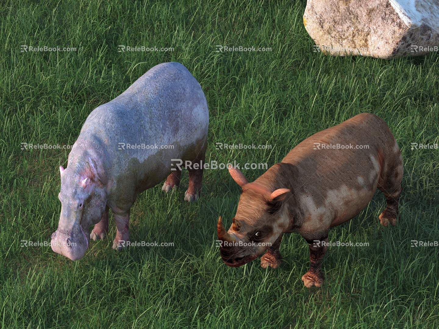 hippopotamus rhinoceros animal 3d model